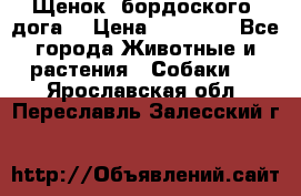 Щенок  бордоского  дога. › Цена ­ 60 000 - Все города Животные и растения » Собаки   . Ярославская обл.,Переславль-Залесский г.